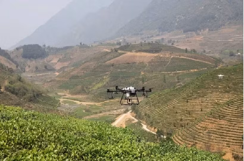 Using drones in agricultural production in Lai Chau province. (Photo: nhandan.vn)