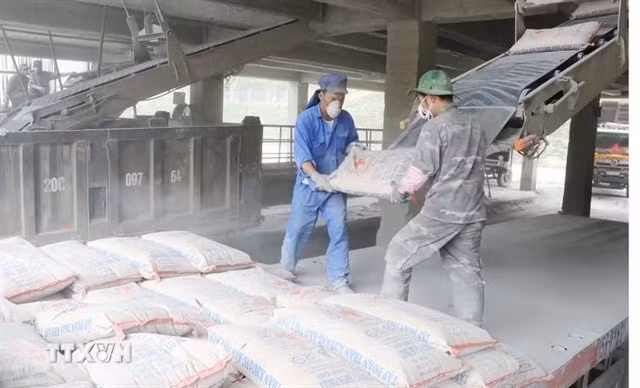 Workers load and unload cement. (Photo: VNA)
