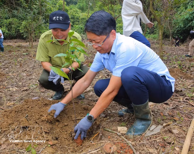 Attendees take part in planting trees at the Cuc Phuong National Park. (Photo: VNA)