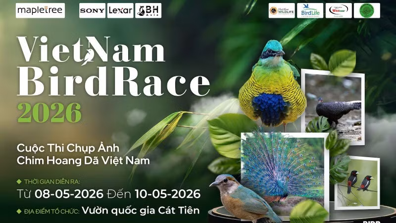 This May marks the third time the country’s largest wildlife bird photography competition has been held. (Photo: Vietnam BirdRace 2026 organising committee)