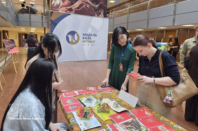 Visitors look at products on display at the Vietnam cultural exhibition. (Photo: VNA)