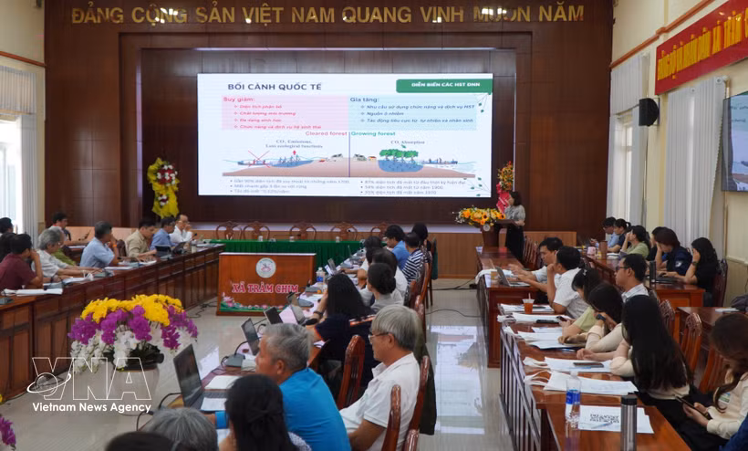 Tram Chim National Park and the Mekong Conservancy Foundation (MCF) organise the workshop on sustainable restoration of wetland ecosystems in the Mekong Delta on March 24. (Photo: VNA)