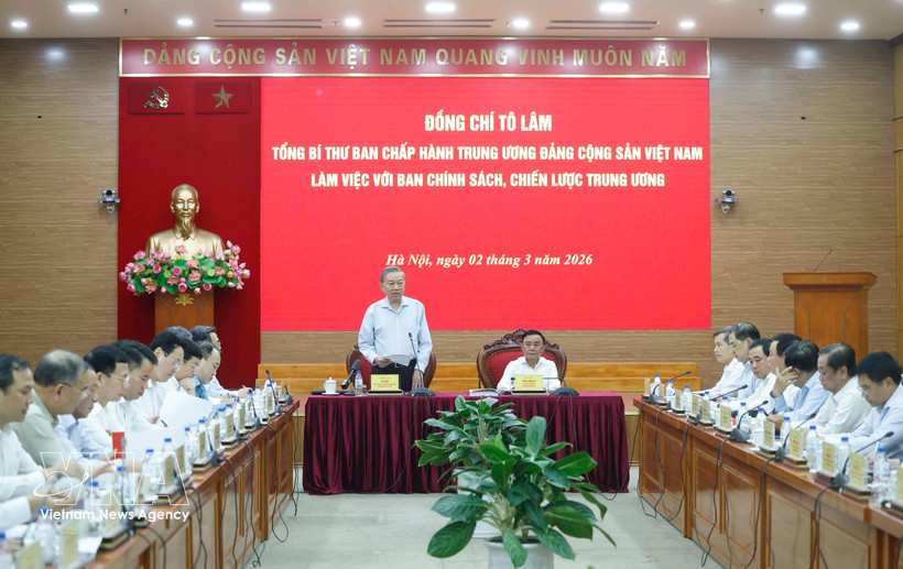 At a working session on the draft resolution for double-digit growth (Photo: VNA)