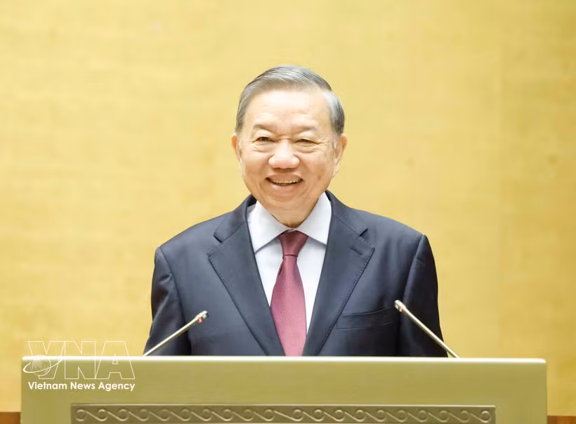 General Secretary of the Communist Party of Vietnam Central Committee and State President To Lam is the head of the Central Steering Committee for Foreign Affairs and International Integration. (Photo: VNA)