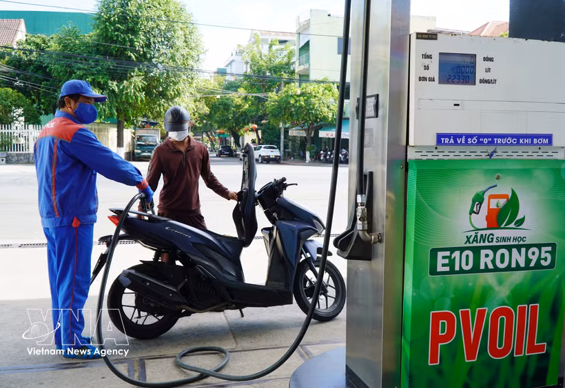 Sales of E10 biofuel gradually reach levels comparable to those previously recorded for conventional RON95 petrol. (Photo: VNA)