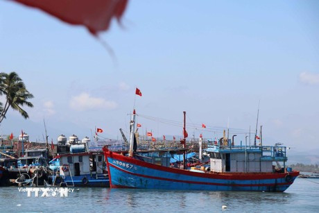 In the field of IUU fishing prevention, four key systems are now in operation: the National Fisheries Database (Vnfishbase), the Vessel Monitoring System (VMS), the database on administrative sanctions in fisheries, and the electronic catch documentation and traceability system (e-CDT). (Photo: VNA)
