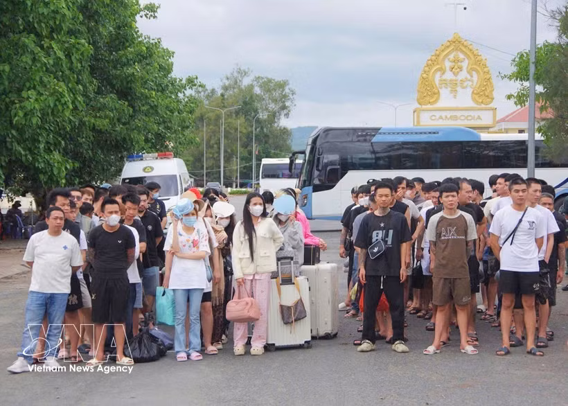 A total of 109 Vietnamese citizens working in Cambodia are deported by the General Department of Immigration under Cambodia’s Ministry of Interior for violating the country’s regulations on immigration, labour and residency. (Photo: VNA) 