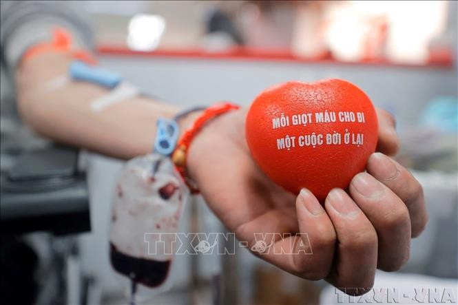 Illustrative image (Source: VNA)