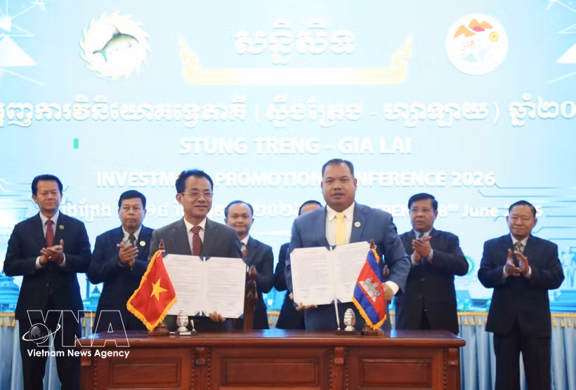 Within the framework of the conference, representatives from Cambodia's Stung Treng province and Phu Tai JSC of Vietnam's Gia Lai province sign a MoU on large-timber plantation investment research project (Photo: VNA)