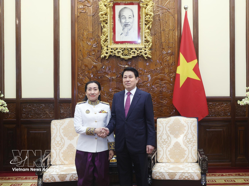 State President Luong Cuong (R) receives Cambodian Ambassador to Vietnam Touch Pharat in Hanoi on March 18. (Photo: VNA)