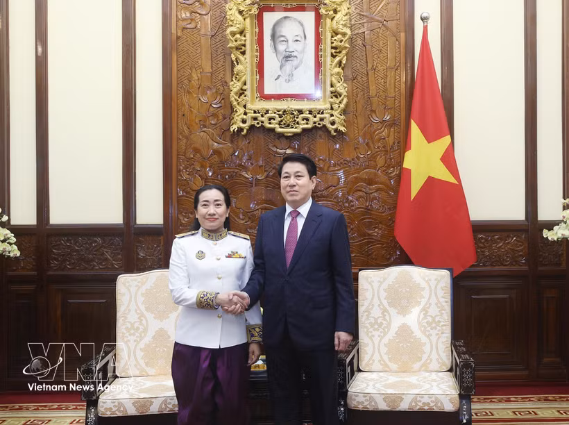 State President Luong Cuong (R) receives Cambodian Ambassador to Vietnam Touch Pharat in Hanoi on March 18. (Photo: VNA)