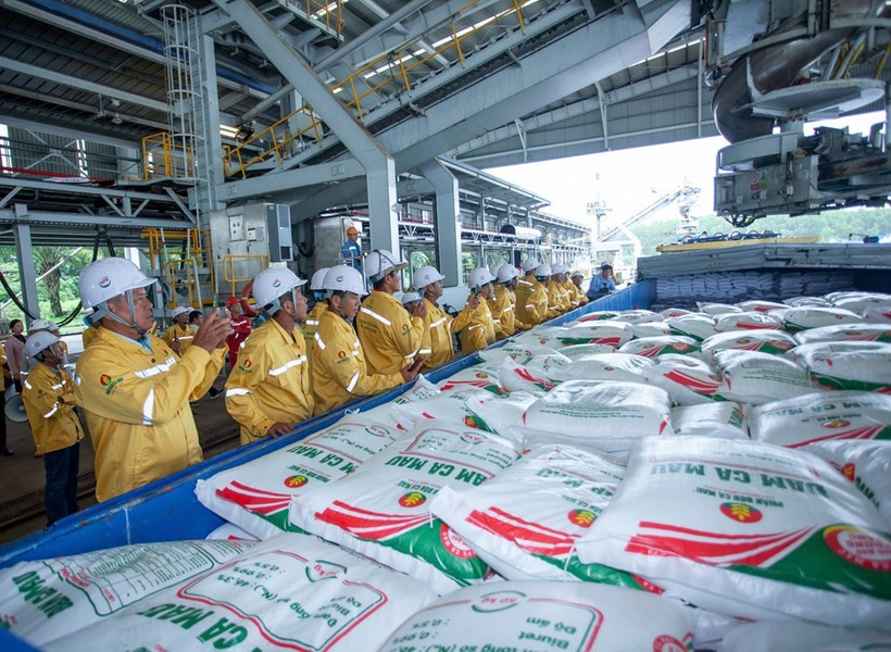 Workers load fertiliser onto a vessel for export by Petrovietnam Ca Mau Fertiliser Corporation (PVCFC). (Photo: Petrovietnam)
