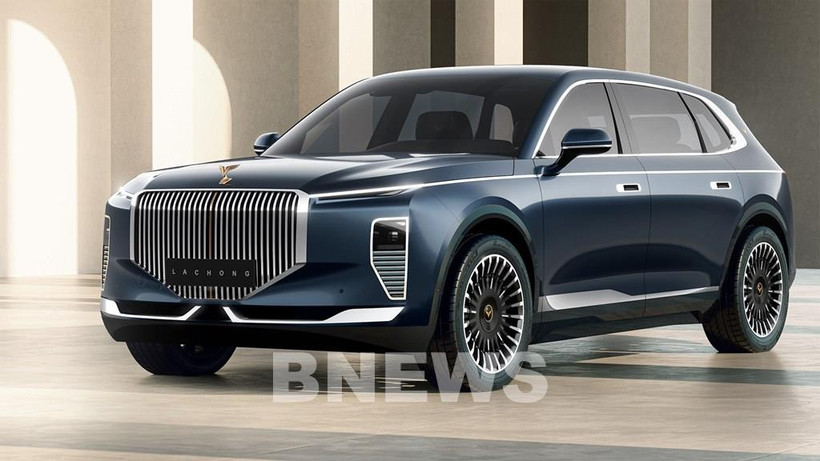 Lac Hong 800S model by VinFast (Photo: VNA)