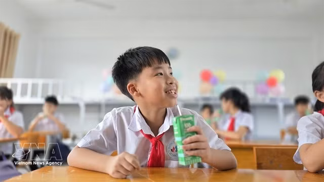 Formal corporate commitments to children’s rights remain low in Vietnam, a new UNICEF study finds. In the photo: Pupils drink milk at Le Thanh Tong interlevel school in Quang Ninh province. (Photo: VNA)