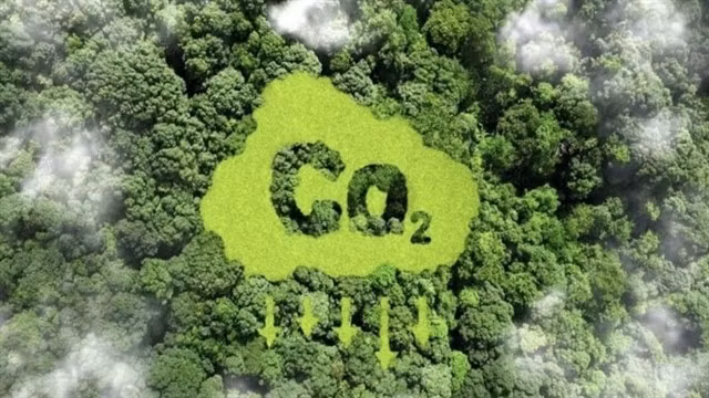 The exchange of greenhouse gas emission quotas and carbon credits is conducted on the domestic carbon credit exchange through the carbon trading system, which is interconnected with the national registration system. (Photo congly.vn)