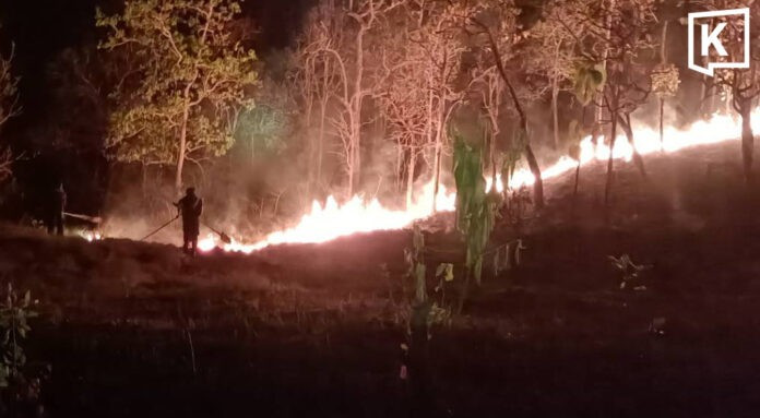 Illustrative image (Photo: Internet)