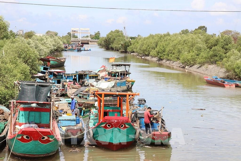 Fishing vessels are anchored inside the Rach Bum sluice gate, adjacent to the Go Cong sea. (Photo: VNA)