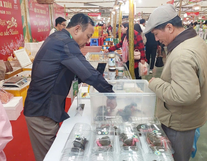 Customers shop at the "Vietnamese Agricultural Products - Spreading the Colors of Spring" zone of the Ministry of Agriculture and Environment (Photo: VNA)