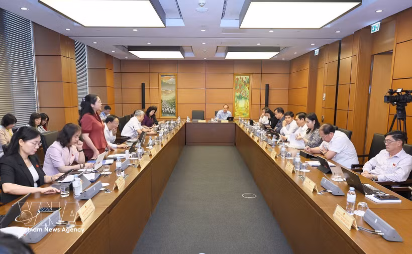 National Assembly deputies from Bac Ninh and Ca Mau provinces hold group discussions on August 6. (Photo: VNA)