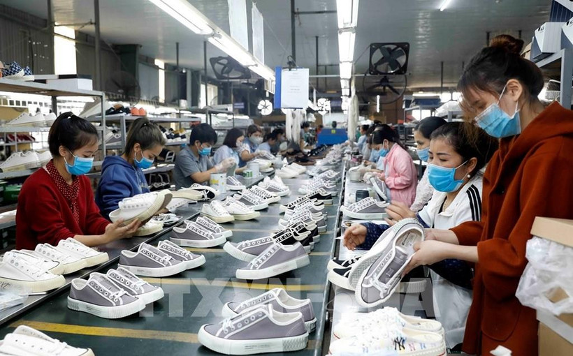 Production of footwear for export to the European market at Ha Tay Chemical Textile Co., Ltd. (Photo: VNA)