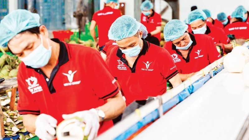 Workers process coconuts for export at Vina T&T Group. (Photo: nhandan.vn)