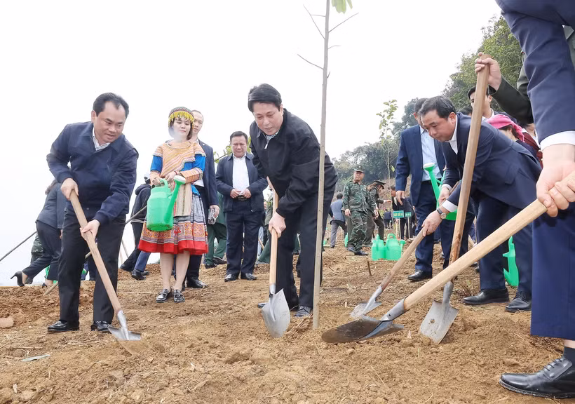 State President Luong Cuong and delegates plant trees in Lao Cai Ward, Lao Cai Province. (Photo: VNA)
