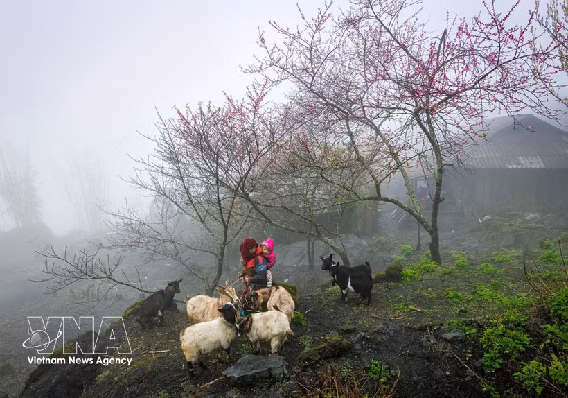 Local culture makes Vietnamese destinations appealing. (Photo: VNA)