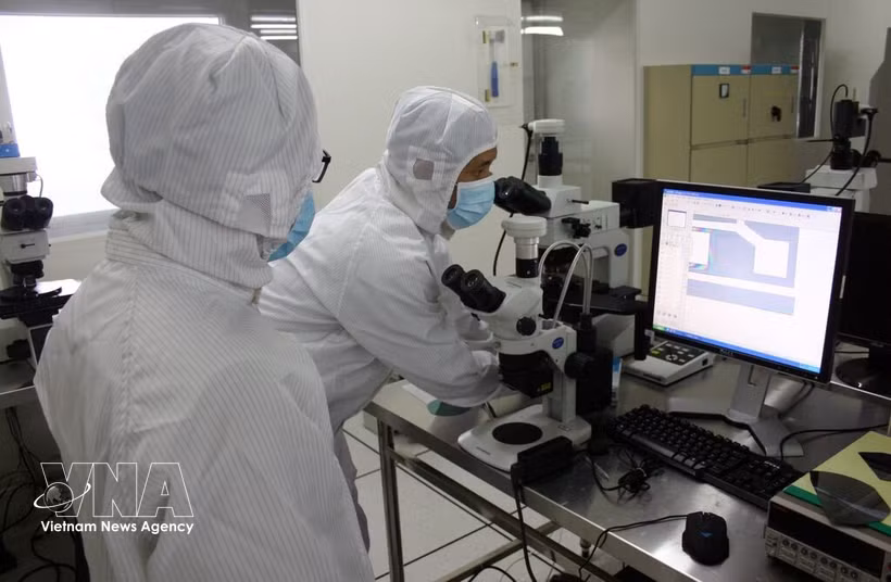 Scientific research at an R&D centre of the Saigon High-Tech Park in Ho Chi Minh City (Photo: VNA)