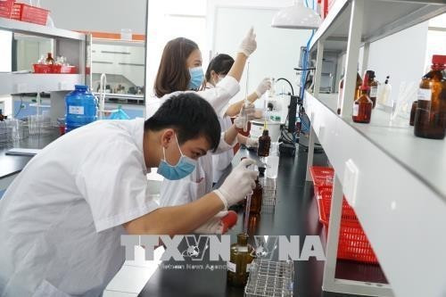 Students of Ton Duc Thang University practice biochemistry experiments (Photo: VNA)