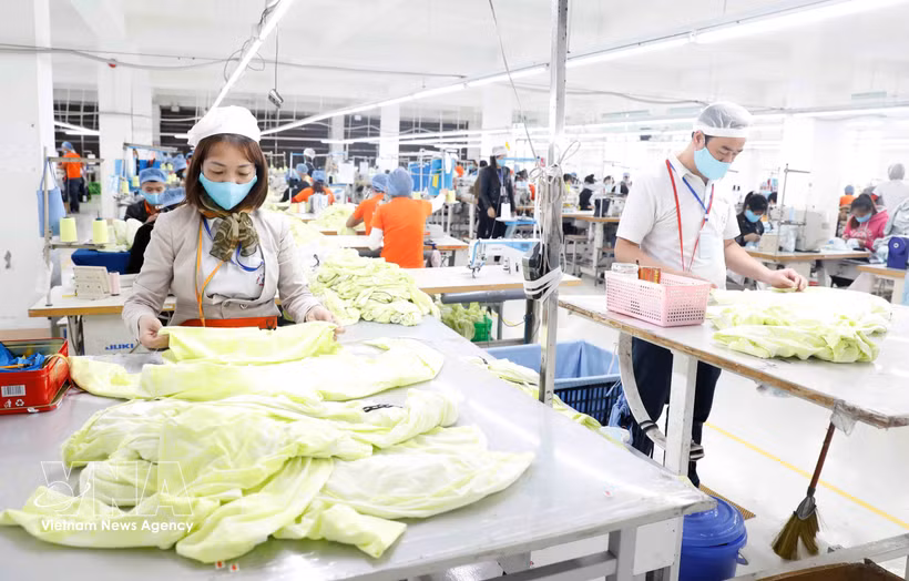 Producing garments for export at Hung Viet Garment Company in Hung Yen province. (Photo: VNA)