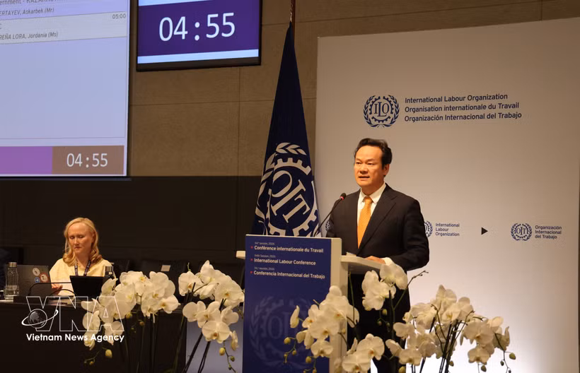 Ambassador Mai Phan Dung, Permanent Representative of Vietnam to the United Nations Office in Geneva, addresses the plenary discussion of the 114th session of the International Labour Conference (ILC114) of the International Labour Organisation (ILO) on June 8. (Photo: VNA)