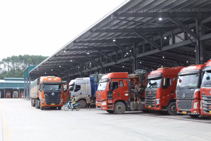 Vehicles transporting import and export goods in the loading area at Chi Ma border gate in Lang Son province. (Photo: VNA)