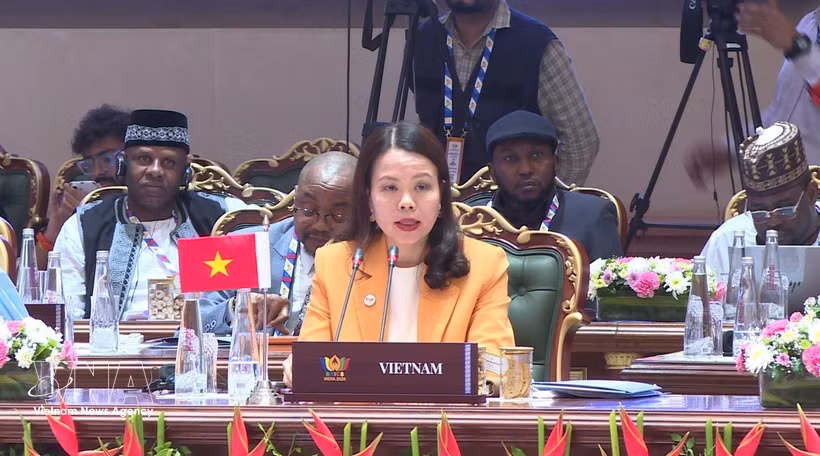 Deputy Minister of Foreign Affairs Nguyen Minh Hang speaks at a discussion session on reforming multilateral systems and global governance, held on May 15, 2026, as part of the expanded BRICS Foreign Ministers’ Meeting in India. (Photo: VNA)