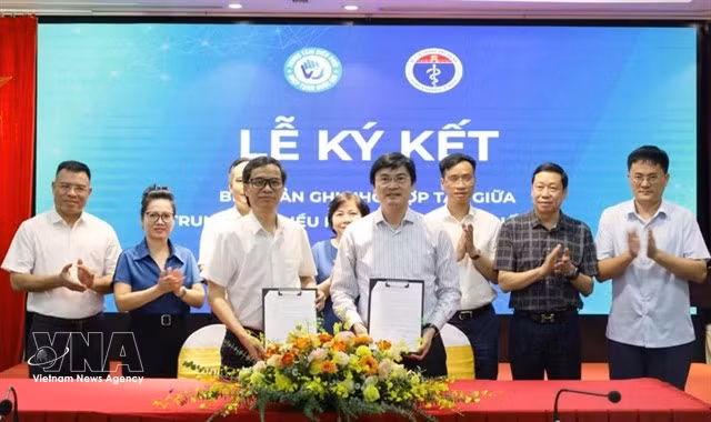 Gallery - Hanoi launches hospital network to boost organ donations - image 2