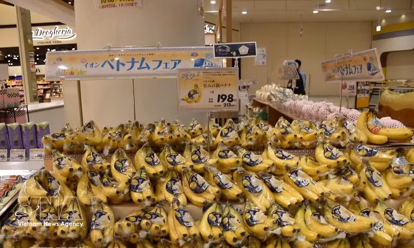 Vietnamese bananas are sold at an AEON supermarket in Japan. (Photo: VNA)