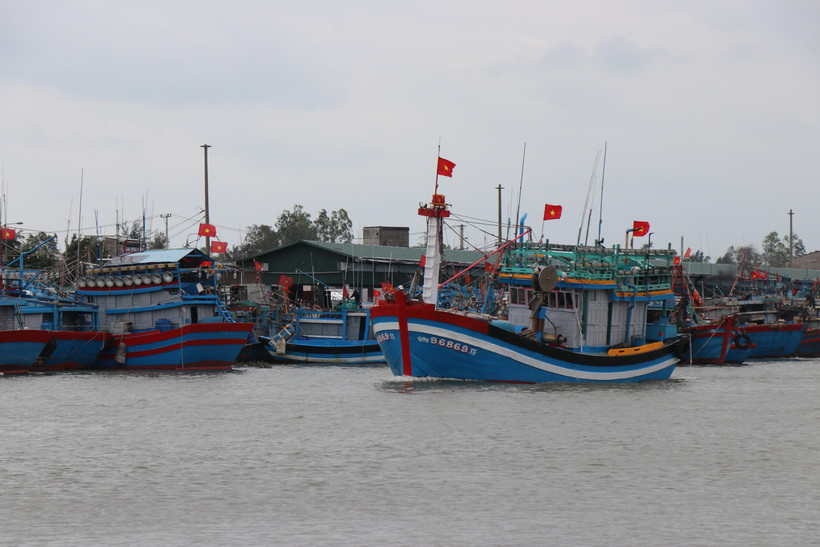 Quang Ngai now has 4,846 registered vessels, including nearly 3,000 over 15 metres long, while smaller vessels under 15 metres for nearshore fishing are gradually being reduced. (Illustrative photo: VNA)