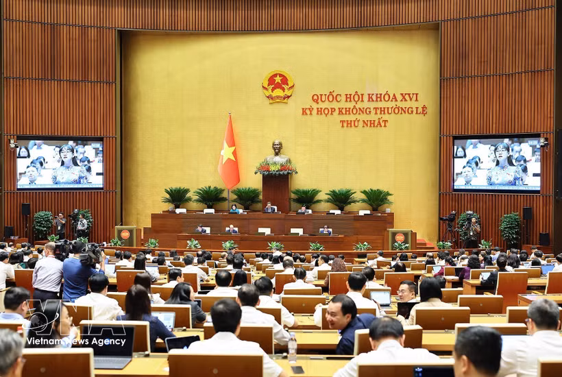 An overview of the discussion (Photo: VNA)