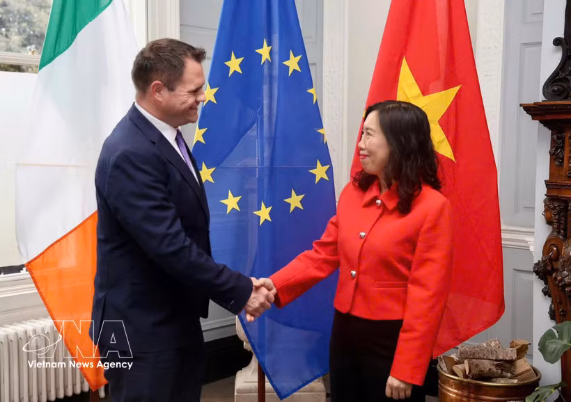 Deputy Foreign Minister Le Thi Thu Hang meets with Irish Minister of State at the Department of Foreign Affairs and Trade Neale Richmond (Photo: VNA)