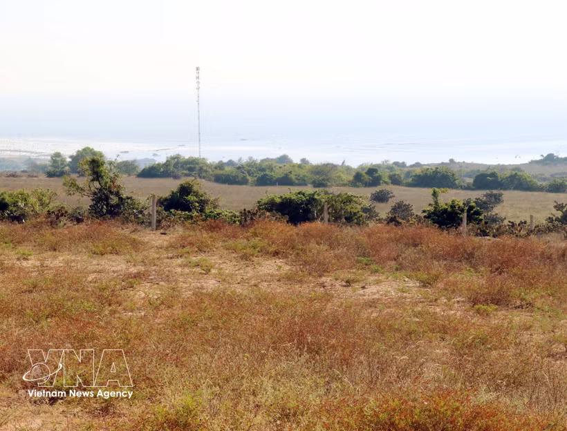 Core site (Vinh Truong hamlet, Phuoc Dinh commune) for the construction of the Ninh Thuan 1 nuclear power plant. (Photo: VNA)