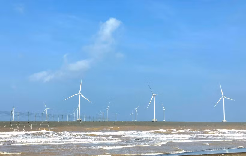 A wind farm in Vinh Long province (Photo: VNA)