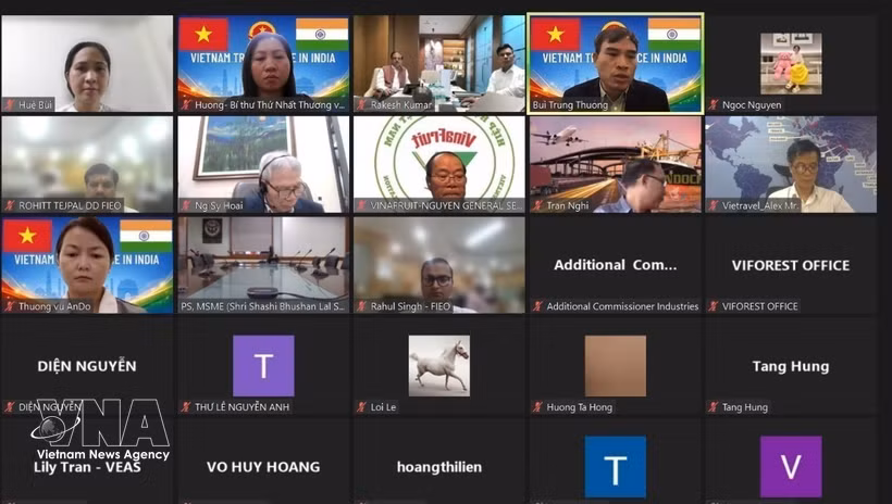 Participants in the webinar held by the Vietnamese Trade Office in India on August 7 (Photo: VNA)