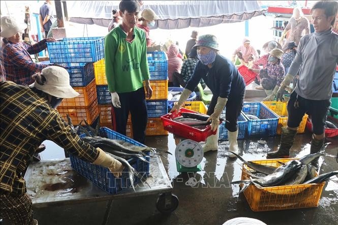 Fish trading at Hon Ro Port (Photo: VNA)