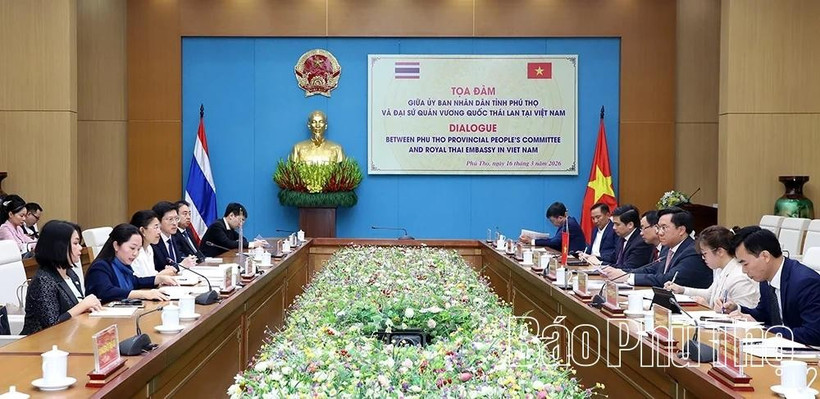 The meeting between the delegation from the Thai Embassy in Vietnam and the Phu Tho provincial People's Committee on March 16. (Photo: baophutho.vn)