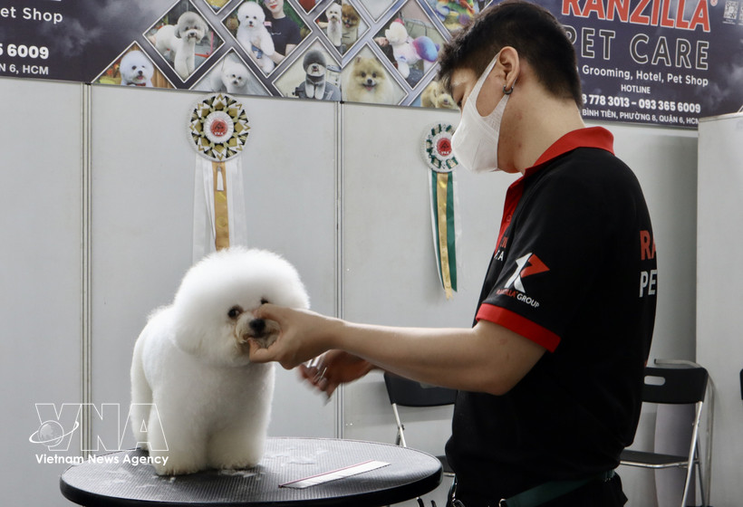 In major cities such as Hanoi and Ho Chi Minh City, demand for pet-related services is surging. (Photo: VNA)