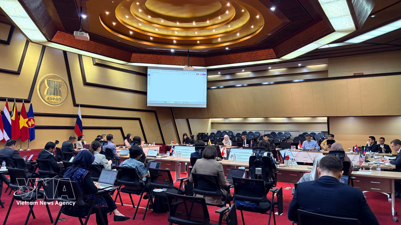 An overview of the 24th ASEAN-Russia Joint Cooperation Committee Meeting in Jakarta (Photo published by VNA)