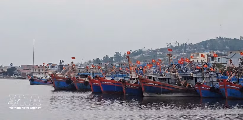 A section of the vessel anchorage area at the Lach Bang fishing port in Thanh Hoa. (Photo: VNA)