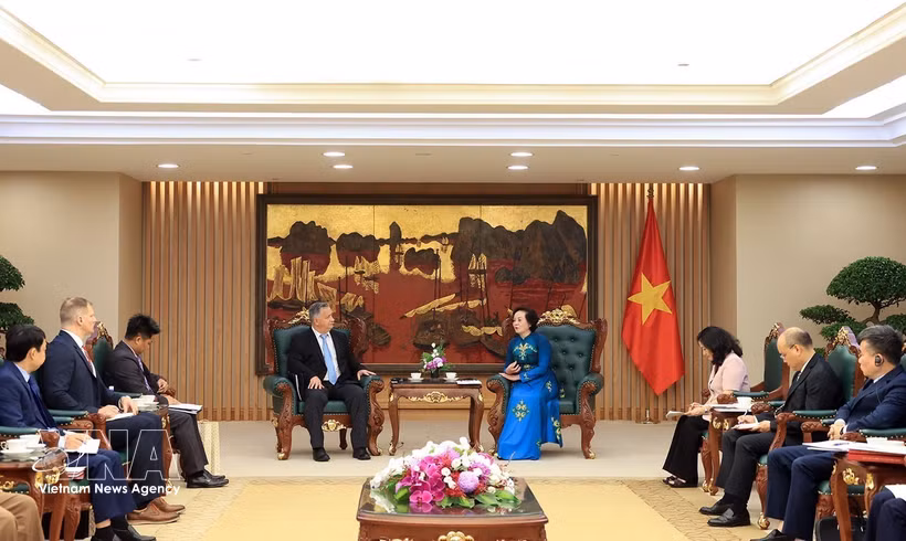 Deputy Prime Minister Pham Thi Thanh Tra (right) receives VNCA Director Dr. Stephen Maxner in Hanoi on June 13 (Photo: VNA)