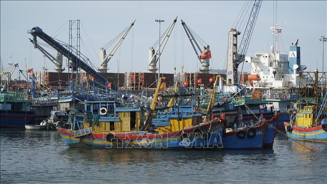Vessels at Quy Nhon fishing port (Photo: VNA)