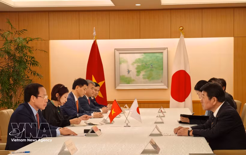 Deputy Prime Minister Le Tien Chau meets with Japanese Foreign Minister Motegi Toshimitsu on June 10. (Photo: VNA)