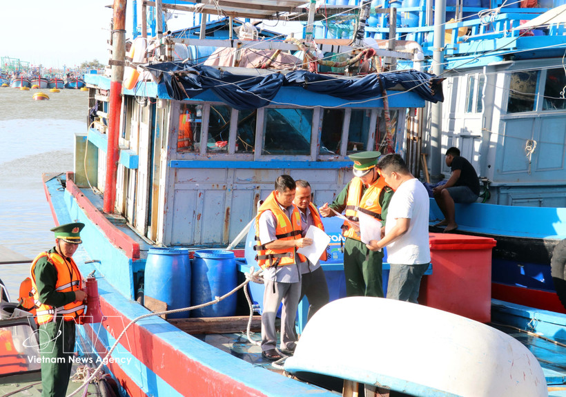 Training sessions and dialogues have improved fishermen’s understanding of regulations and the risks associated with IUU fishing. (Photo: VNA)